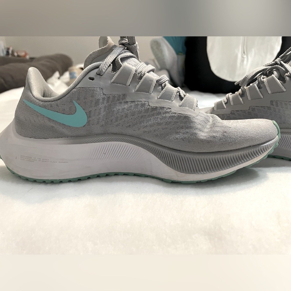 Nike Pegasus 37